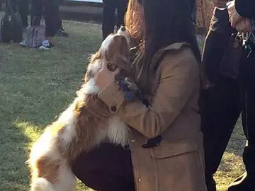 La enfermera que superó el ébola en Dallas se reencuentra con su perro La enfermera que superó el ébola en Dallas se reencuentra con su perro