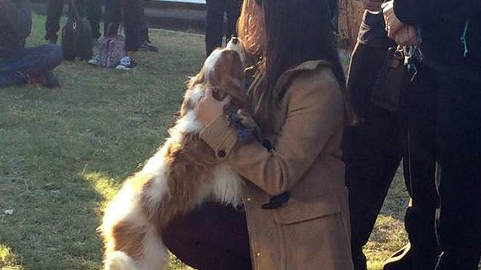 La enfermera que superó el ébola en Dallas se reencuentra con su perro La enfermera que superó el ébola en Dallas se reencuentra con su perro