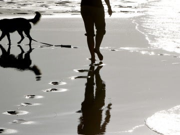 Una mujer pasea con su perro por la playa