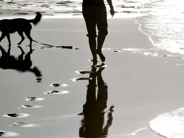 Una mujer pasea con su perro por la playa Una mujer pasea con su perro por la playa