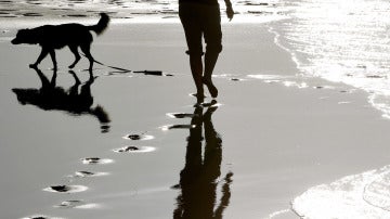 Una mujer pasea con su perro por la playa