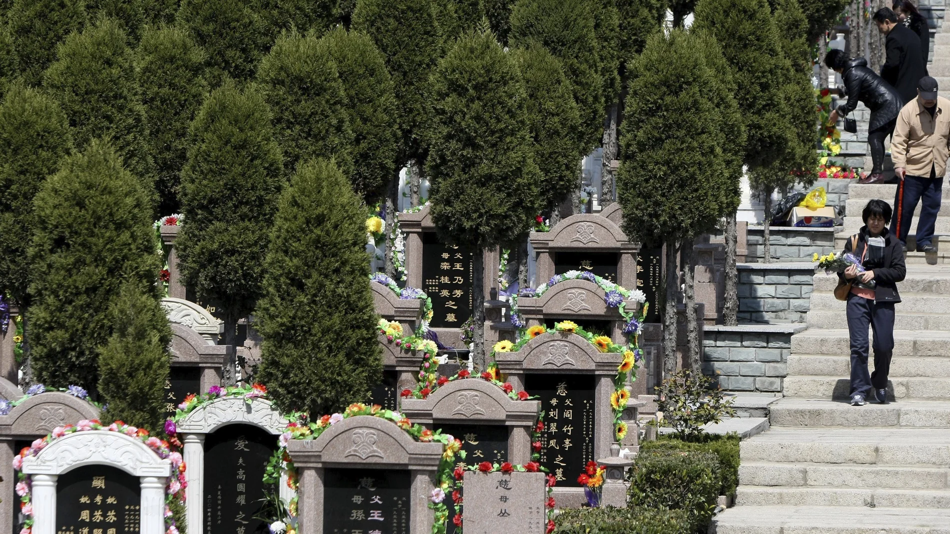 Funcionarios chinos roban cadáveres Funcionarios chinos roban cadáveres