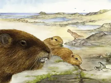 Recontrucción artística del mamífero Vintana Recontrucción artística del mamífero Vintana