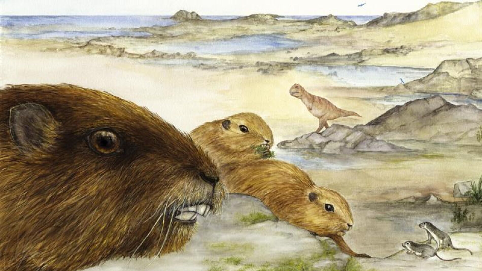 Recontrucci&oacute;n art&iacute;stica del mam&iacute;fero Vintana