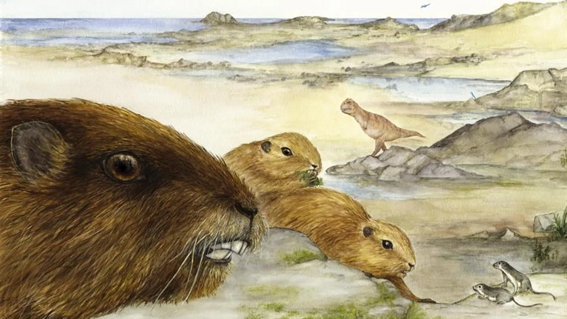 Recontrucción artística del mamífero Vintana Recontrucción artística del mamífero Vintana