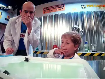 Tortugas Ninja Tortugas Ninja