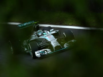 Rosberg, entre las hojas de Brasil
