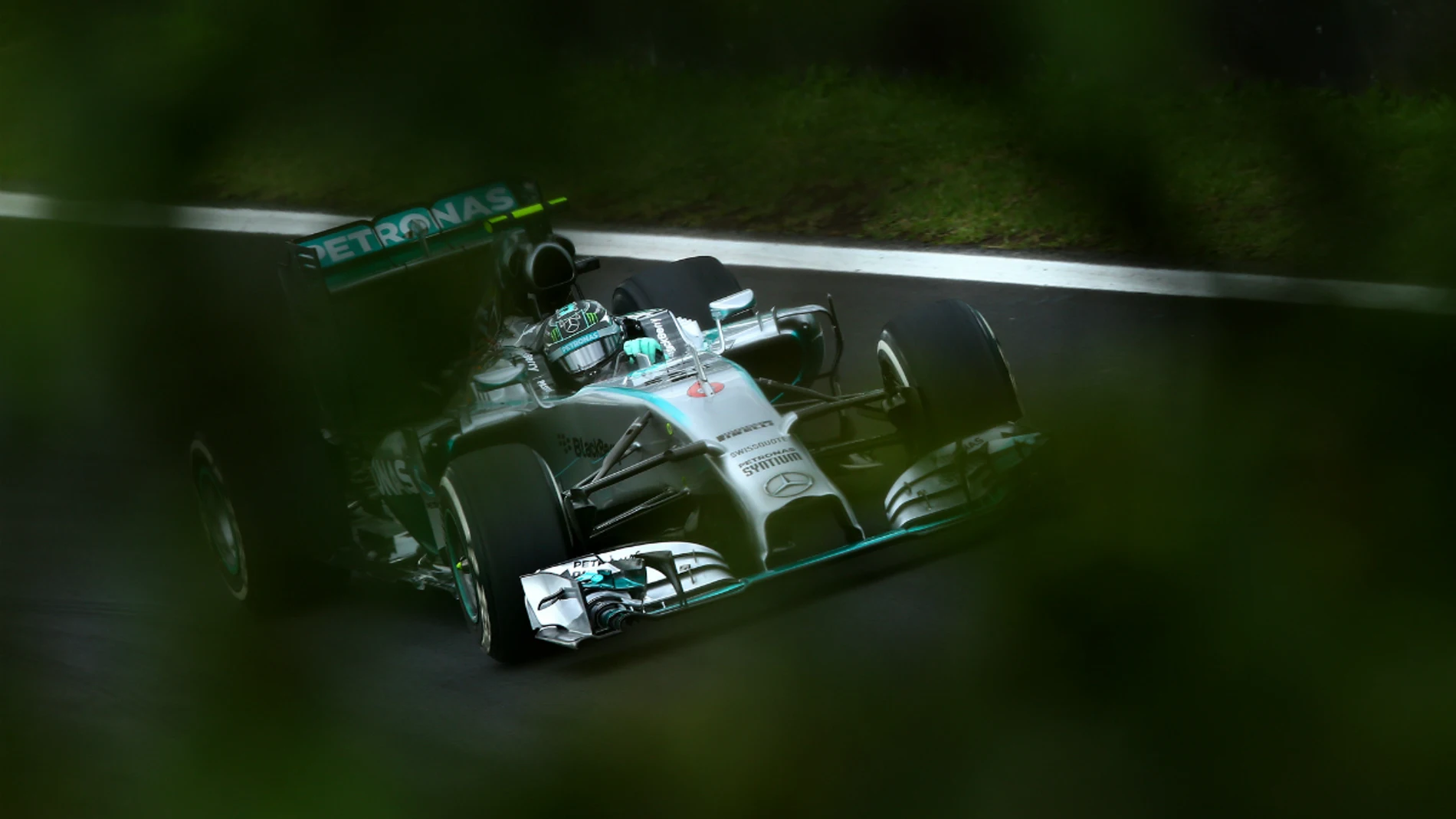 Rosberg, entre las hojas de Brasil