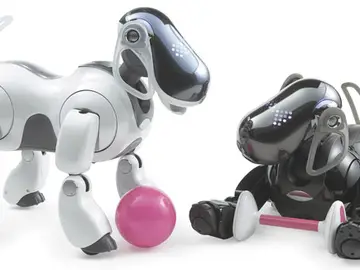 Robot Aibo Robot Aibo