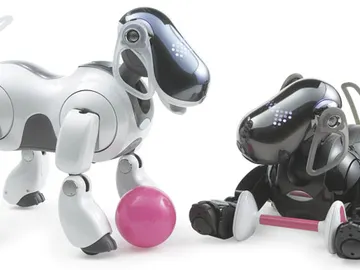 Robot Aibo Robot Aibo
