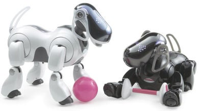 El mítico robot Aibo, abocado a 'morir' tras quedarse sin piezas de repuesto