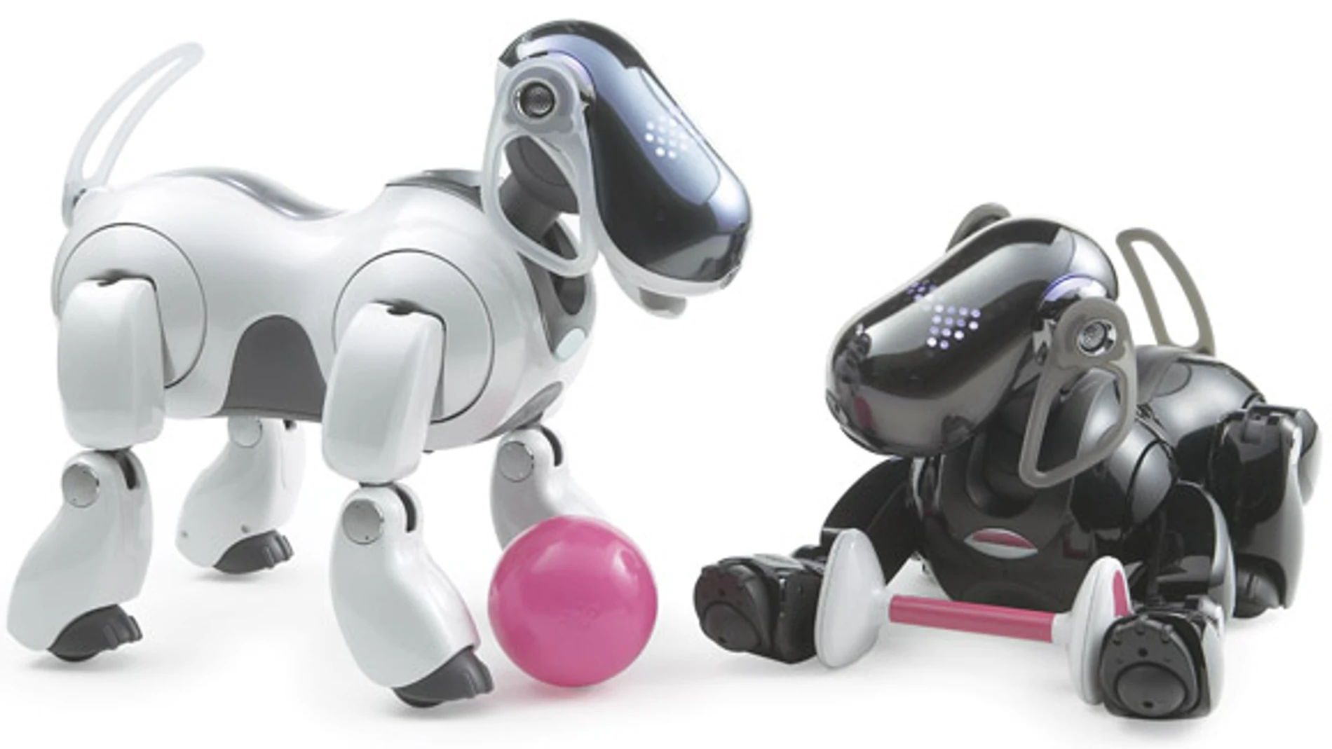 Robot Aibo Robot Aibo