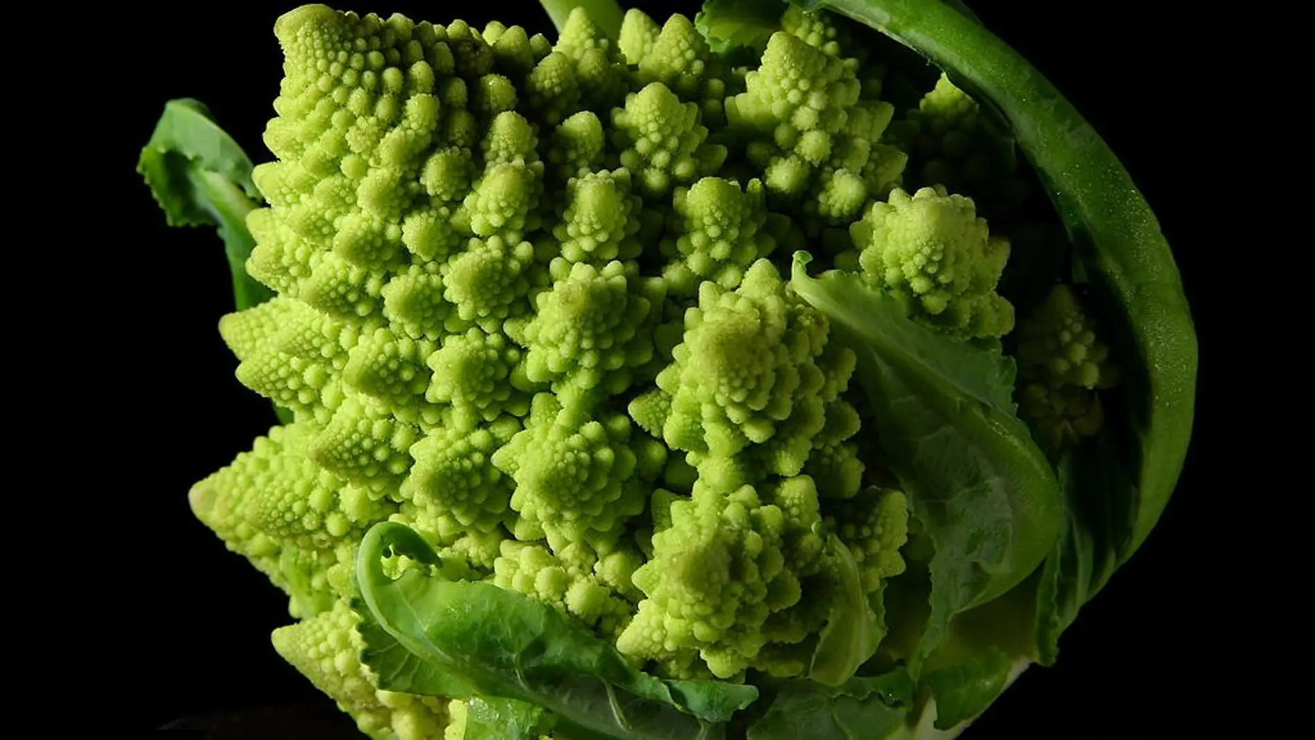 La col romanesco, muchas coles dentro de más y más coles. Hasta el infinito.