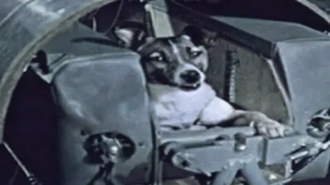 La perra Laika La perra Laika