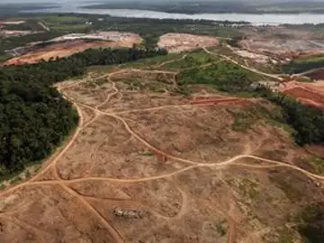 Amazonas Amazonas