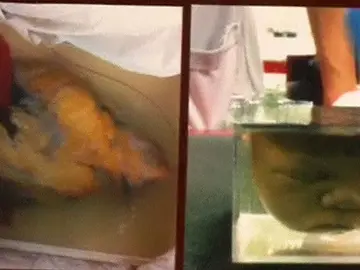 Encuentran restos humanos en varias cajas Encuentran restos humanos en varias cajas