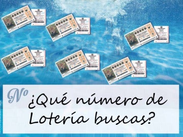 Buscador de lotería 2015