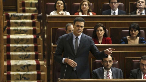 Pedro S&aacute;nchez en el Congreso
