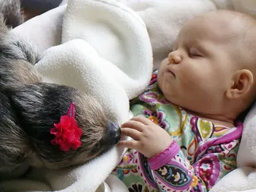 Durmiendo la siesta Durmiendo la siesta