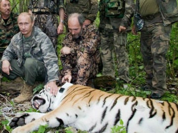 Putin junto a un tigre en una zona de Siberia