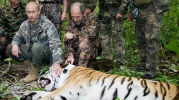 Putin junto a un tigre en una zona de Siberia