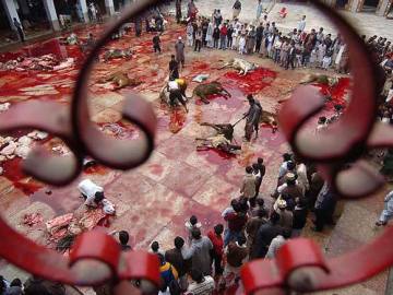 Matanza de animales en el Ghadimai Mela