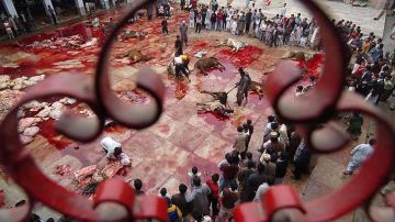 Matanza de animales en el Ghadimai Mela