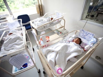 Imagen de archivo de bebés recién nacidos en sus cunas en un hospital