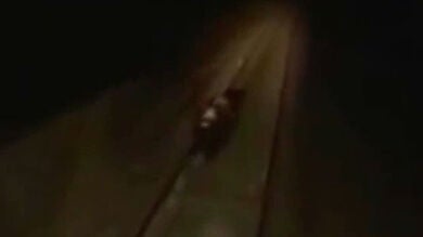 La Fiscalía rusa investiga el atropello de un oso por parte de una locomotora