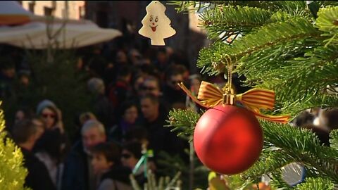 A la b&uacute;squeda del &aacute;rbol de Navidad perfecto en la feria de Espinelves