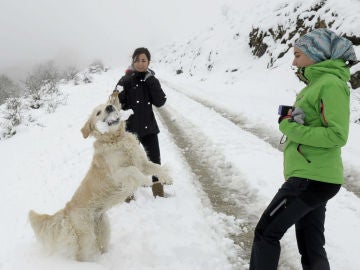 Nieve en Navarra