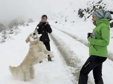 Nieve en Navarra Nieve en Navarra