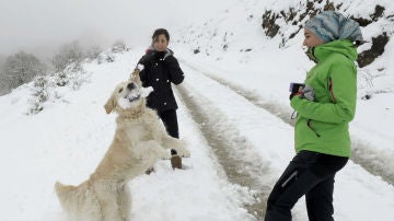 Nieve en Navarra