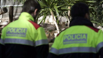 Ataque en el zoo de Barcelona