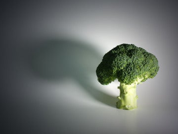Brócoli, tan fotogénico y tan sanote.