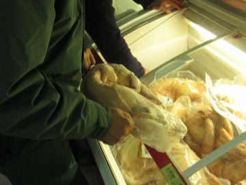 La Guardia Civil inspecciona un pollo