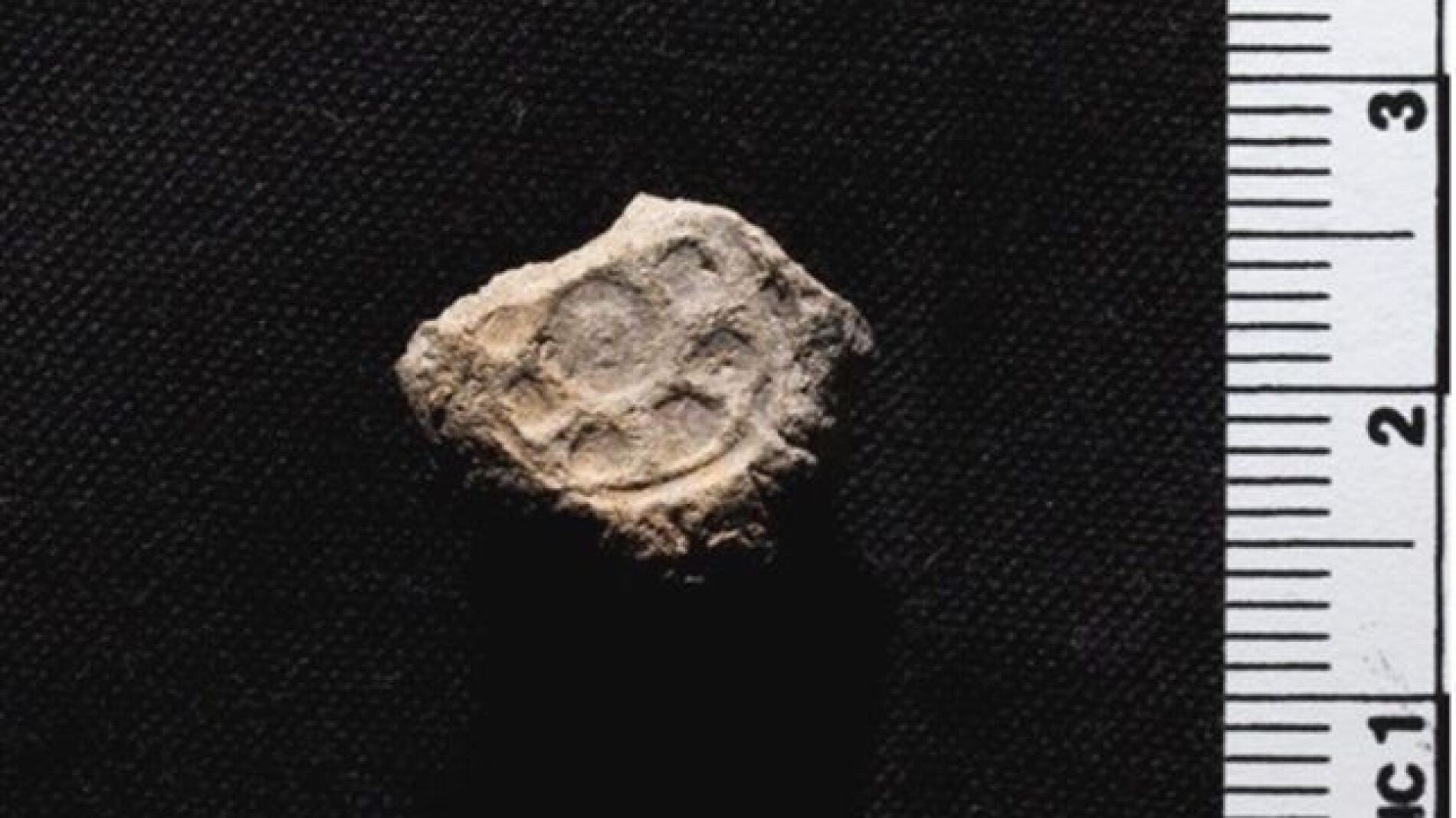 Sello de arcilla