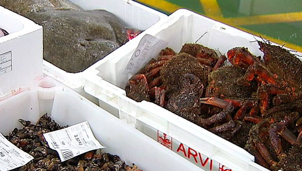 Centollos, percebes y otros mariscos en una lonja española