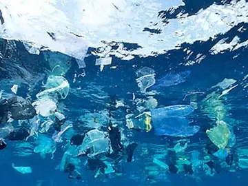 Contaminación de plásticos en nuestros oceanos Contaminación de plásticos en nuestros oceanos