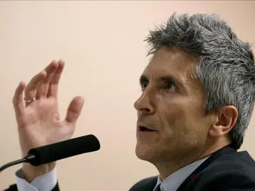 Fernando Grande Marlaska Fernando Grande Marlaska