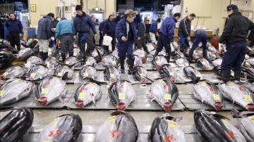 Lonja de Tsukiji