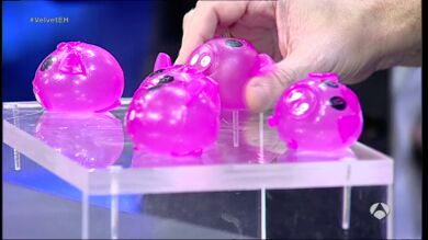 El Monaguillo trae a 'El Hormiguero' la magia de los cerditos loku loku