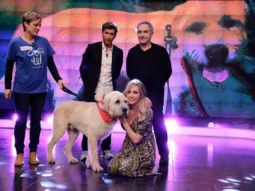 Coco el perro gigante en El Hormiguero 3.0 Coco el perro gigante en El Hormiguero 3.0