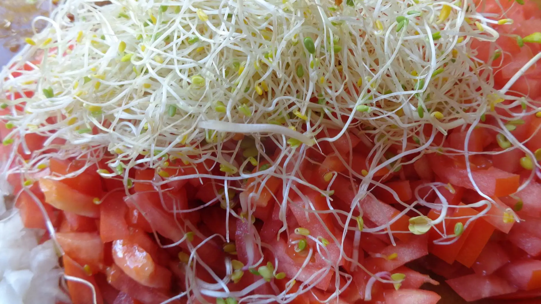 Los mágicos brotes de alfalfa, coronando tomate picado.