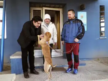 Teresa Romero recibe a Alma, su nueva perra Teresa Romero recibe a Alma, su nueva perra
