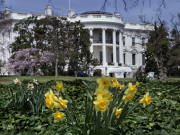 Cae un dron de origen desconocido en los jardines de la Casa Blanca