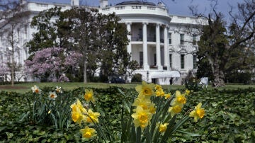 Cae un dron de origen desconocido en los jardines de la Casa Blanca