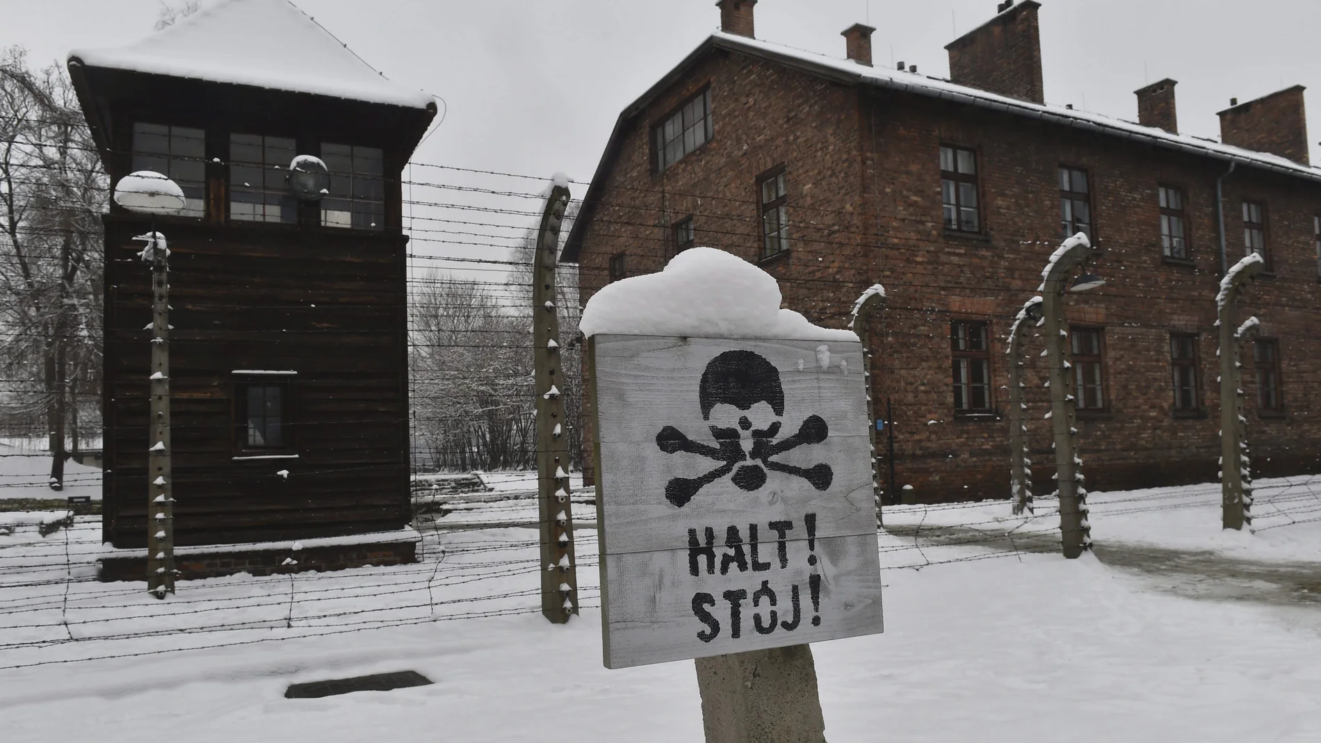 Campo de Auschwitz Campo de Auschwitz