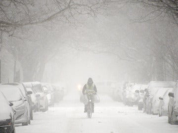 Nevada en Nueva York