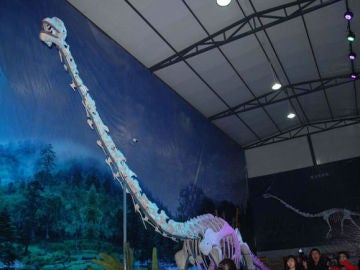Reconstrucción del 'dragón de Qijianglong'